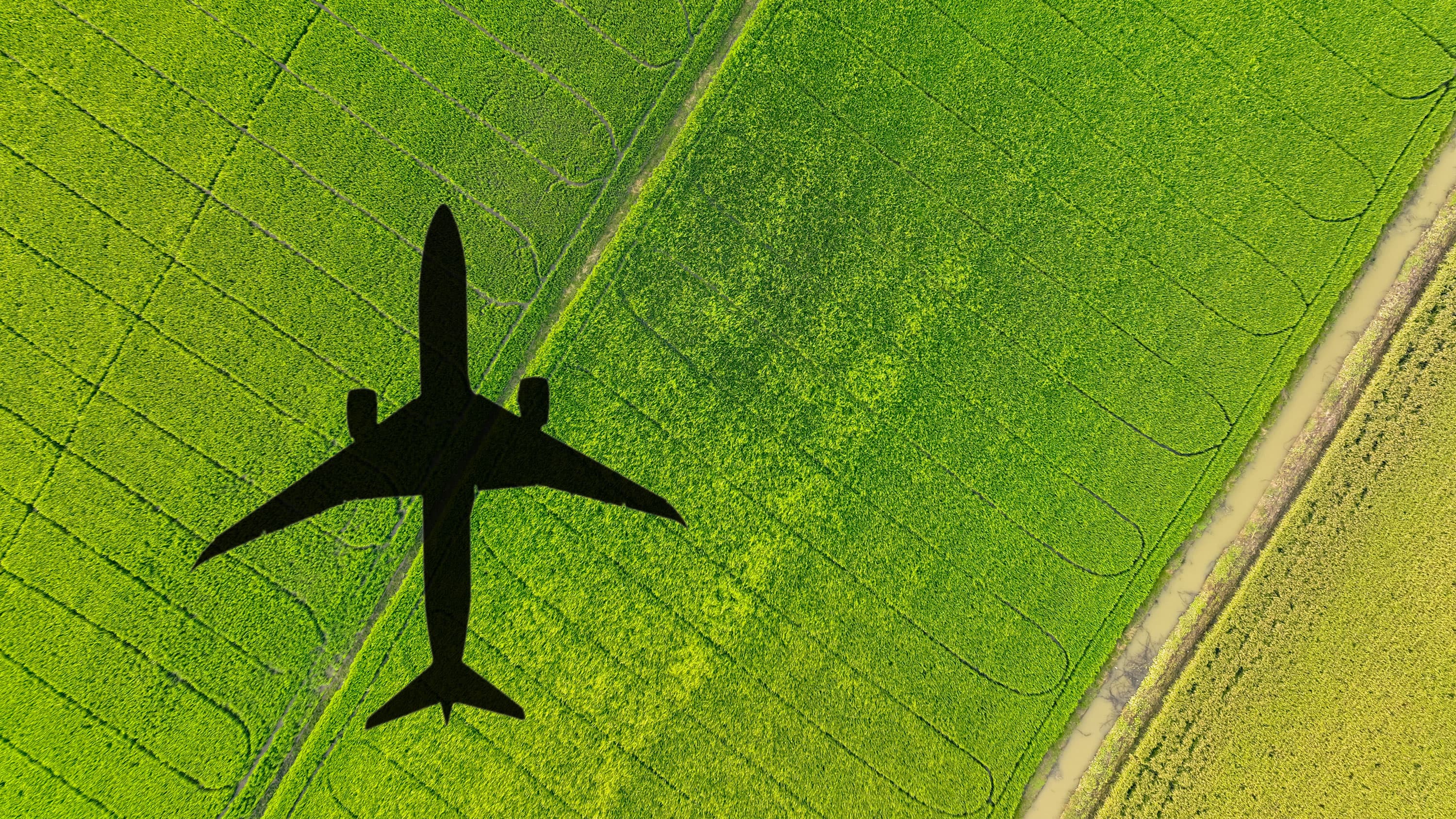 Silhouette of an airplane over vibrant green fields with visible crop patterns and a narrow path.
